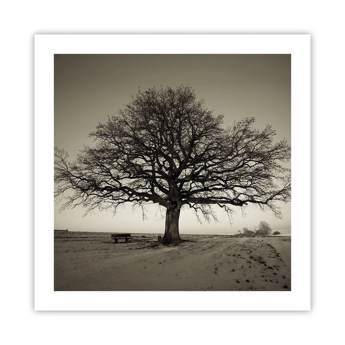 Affisch - Härifrån till evighet - 50x50 cm