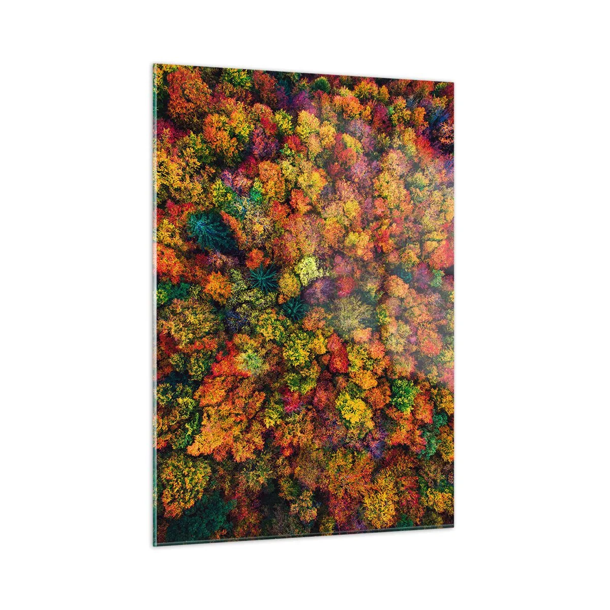 Glastavla - Bild på glas - Höstträdens bukett - 50x70 cm