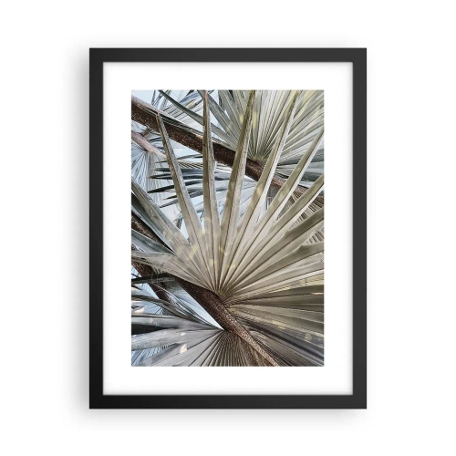 Affisch i svart ram - Solfjädrarna i tropikerna - 30x40 cm
