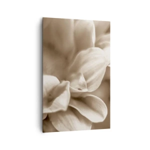 Canvastavla - Bild på duk - Milda som ett leende - 80x120 cm