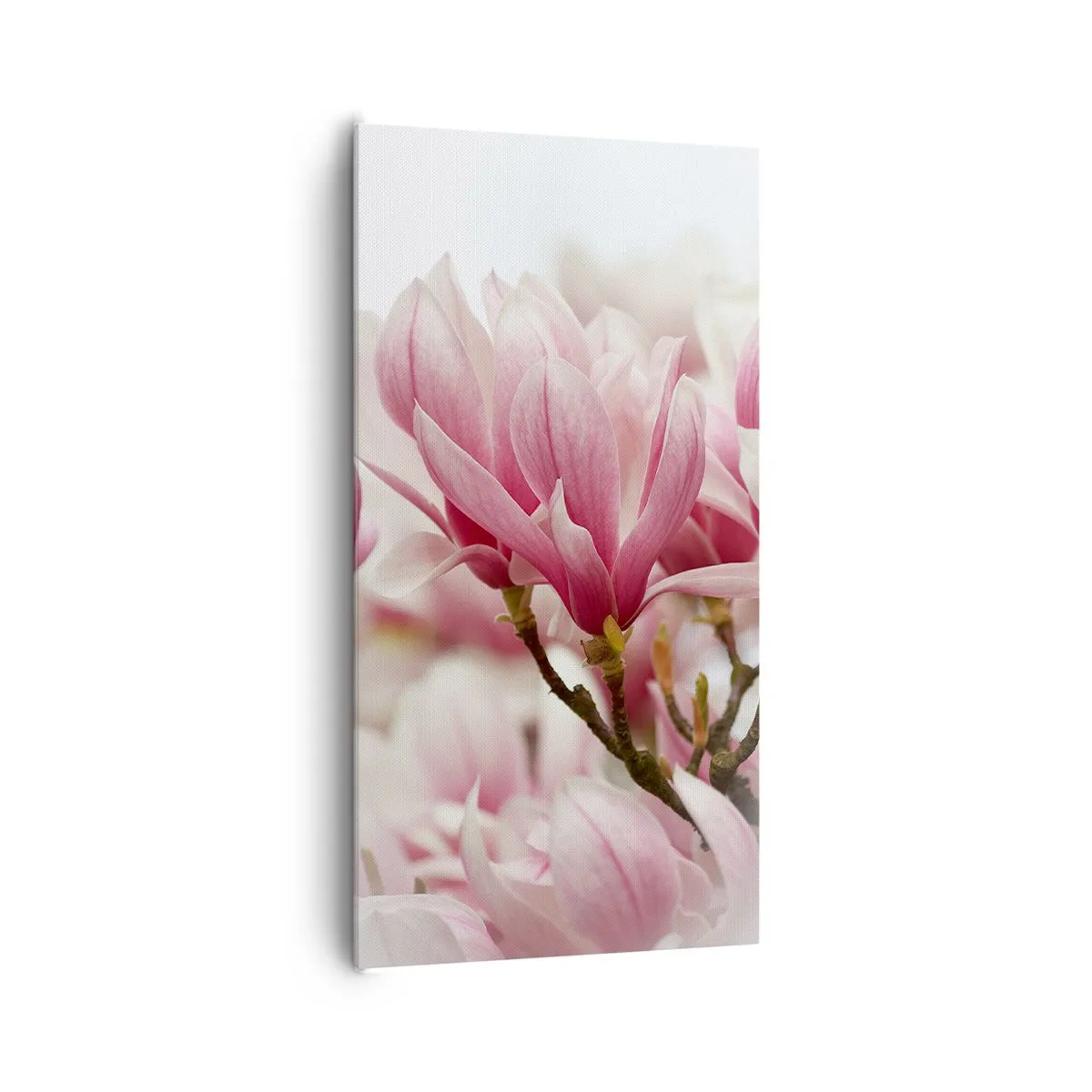 Canvastavla - Bild på duk - Vårblommor - 65x120 cm