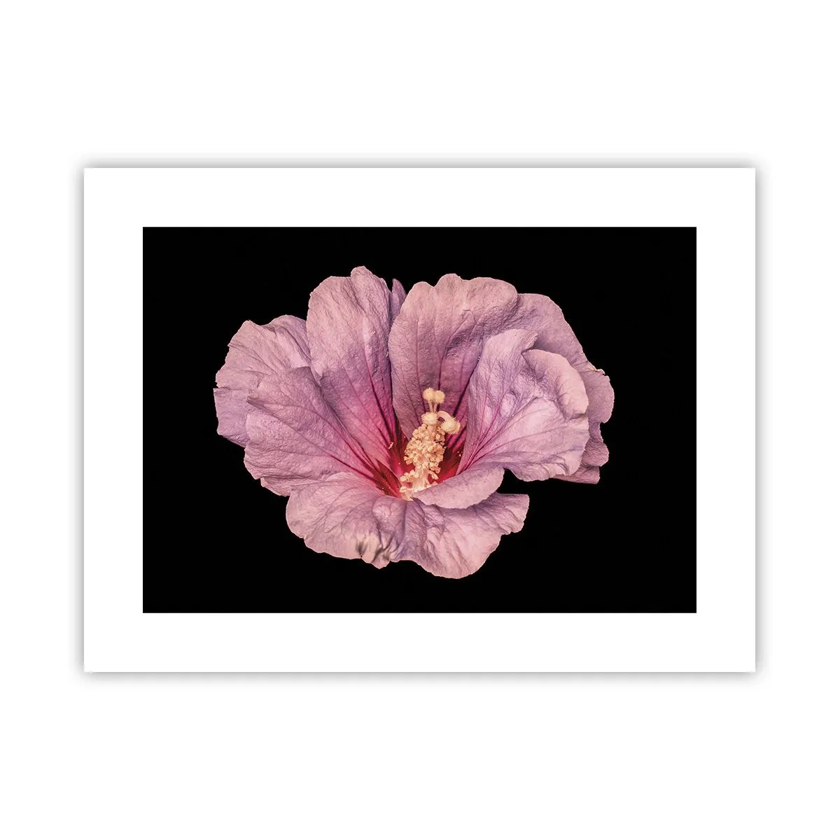 Affisch - Rakt till hjärtat - 40x30 cm