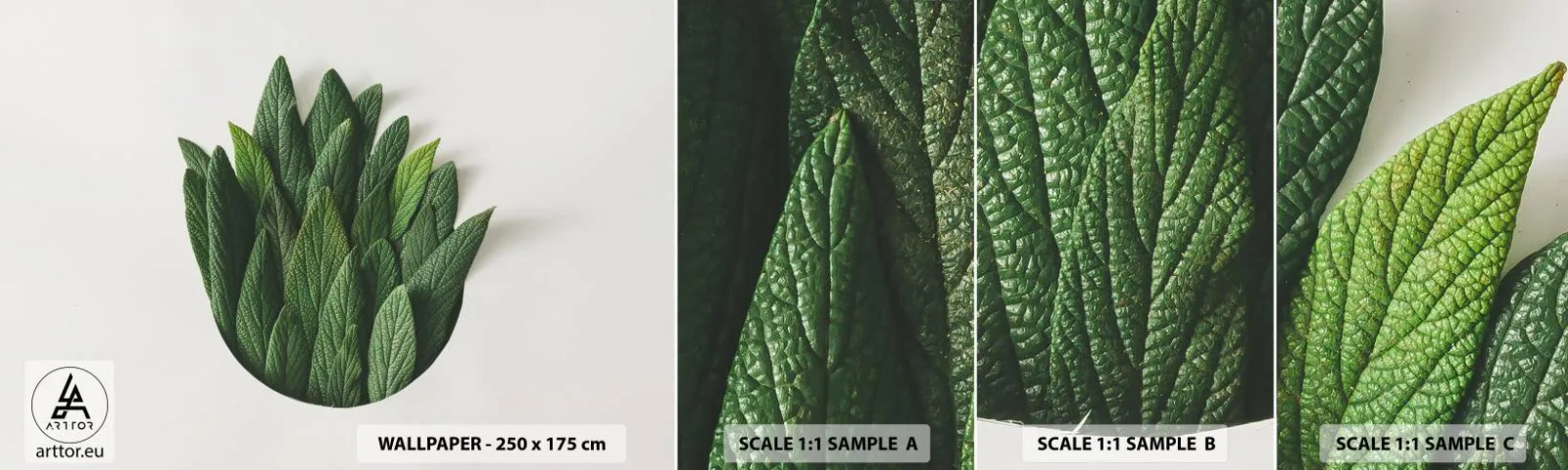 Provbit av självhäftande fototapet Deluxe Sticker - Ostoppbar nyfikenhet - Salvia, Salvia blad, Ört - 100x30 cm