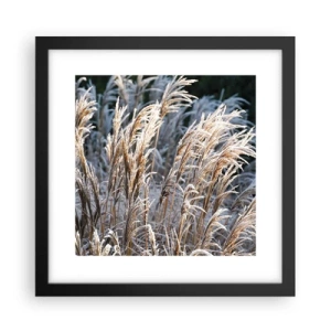 Affisch i svart ram - Frostprydda - 30x30 cm