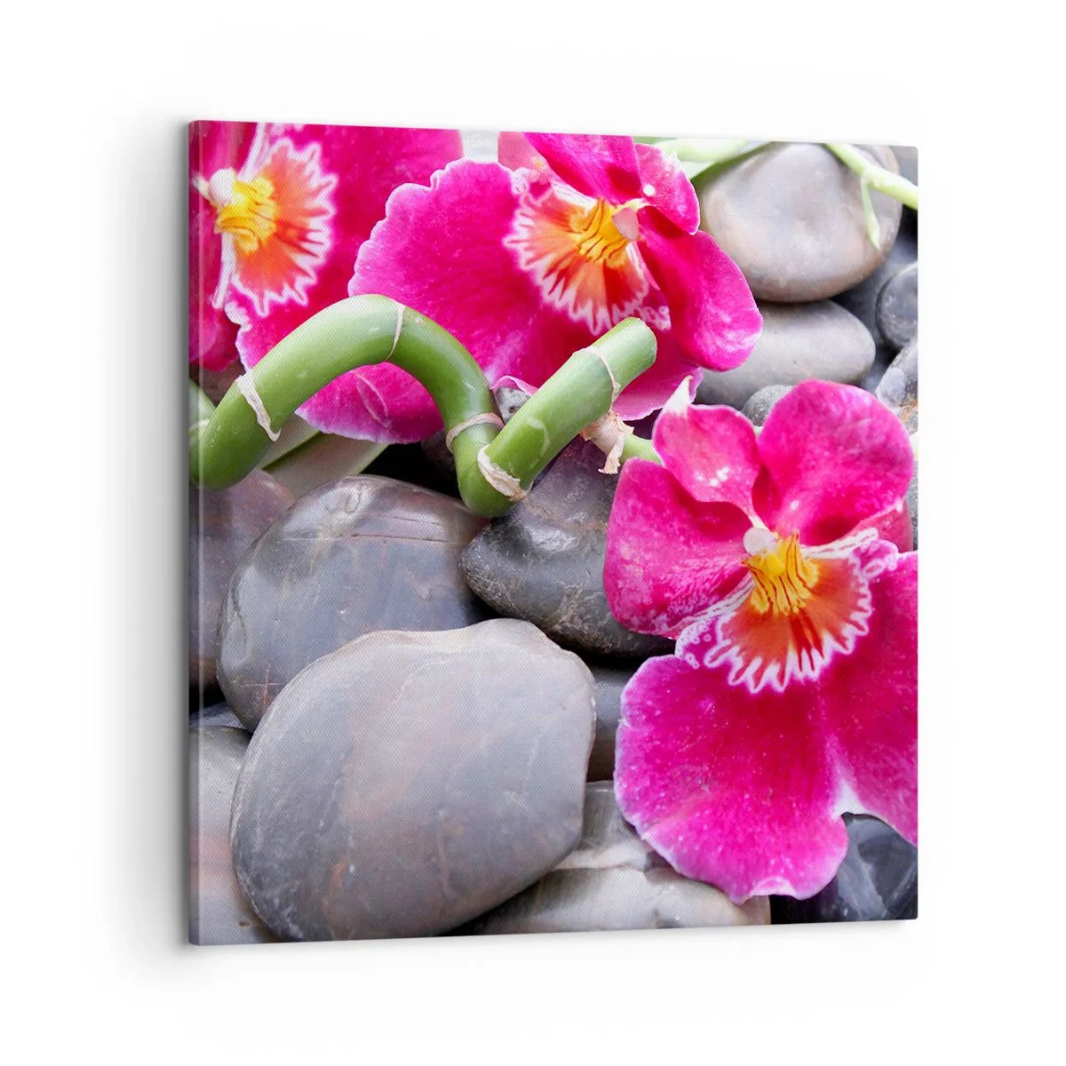 Canvastavla - Bild på duk - Kyla och glöd - 60x60 cm