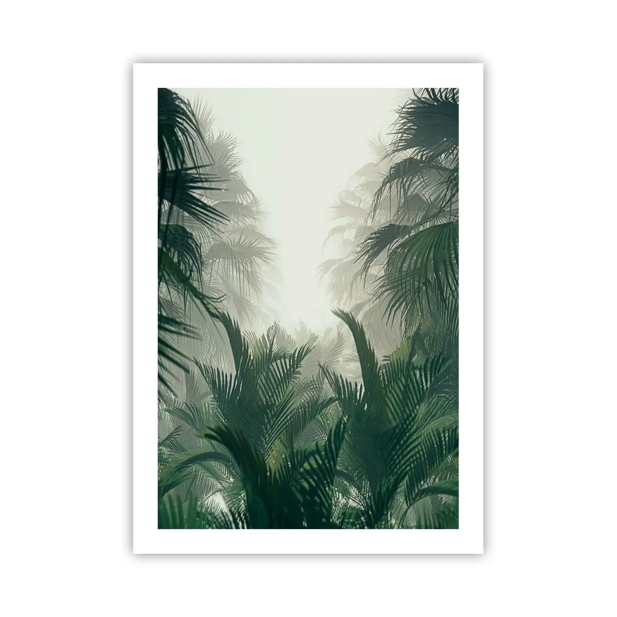 Affisch - Tropisk hemlighet - 50x70 cm