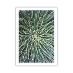 Affisch - Stjärna föds - 50x70 cm