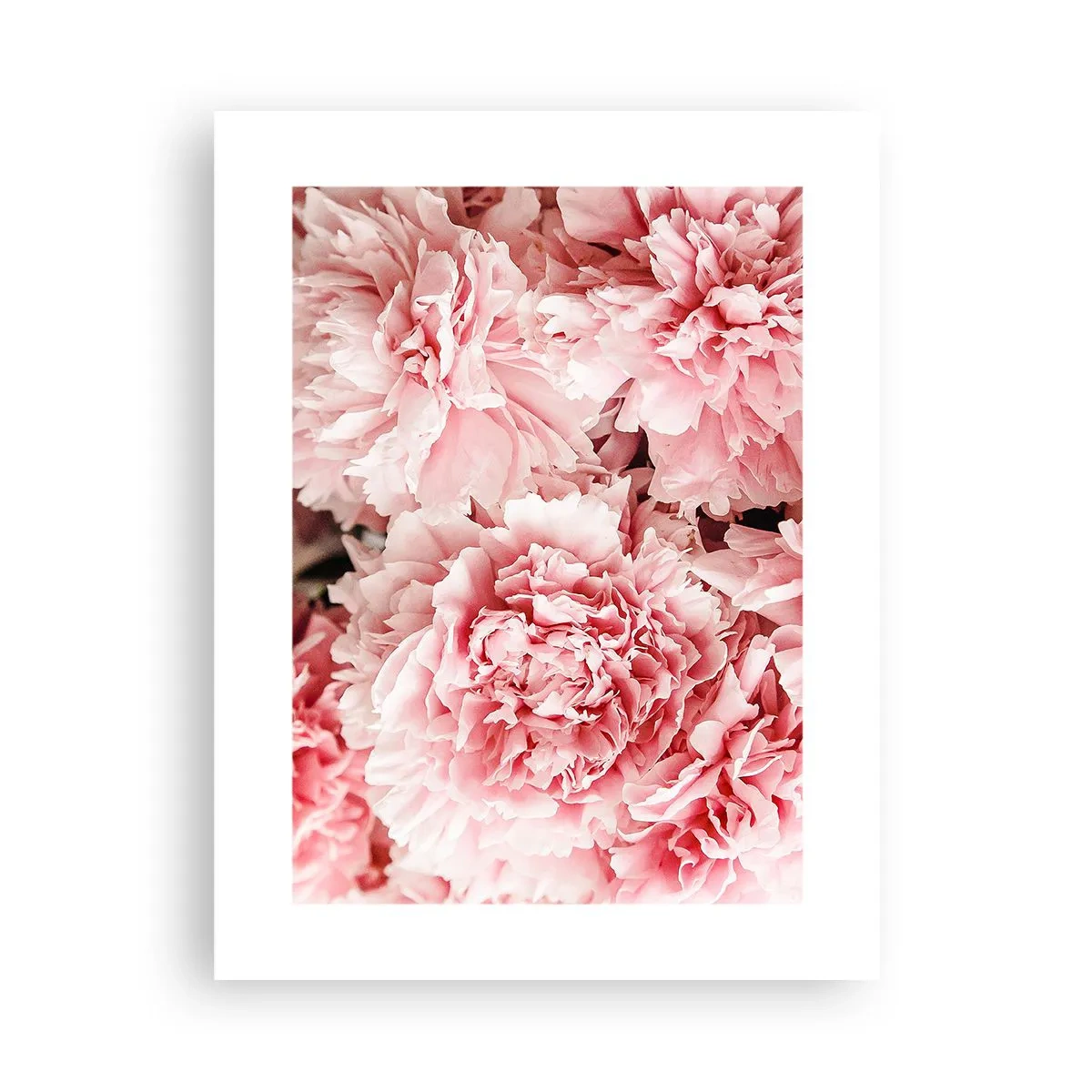Affisch - Rosa dröm - 30x40 cm