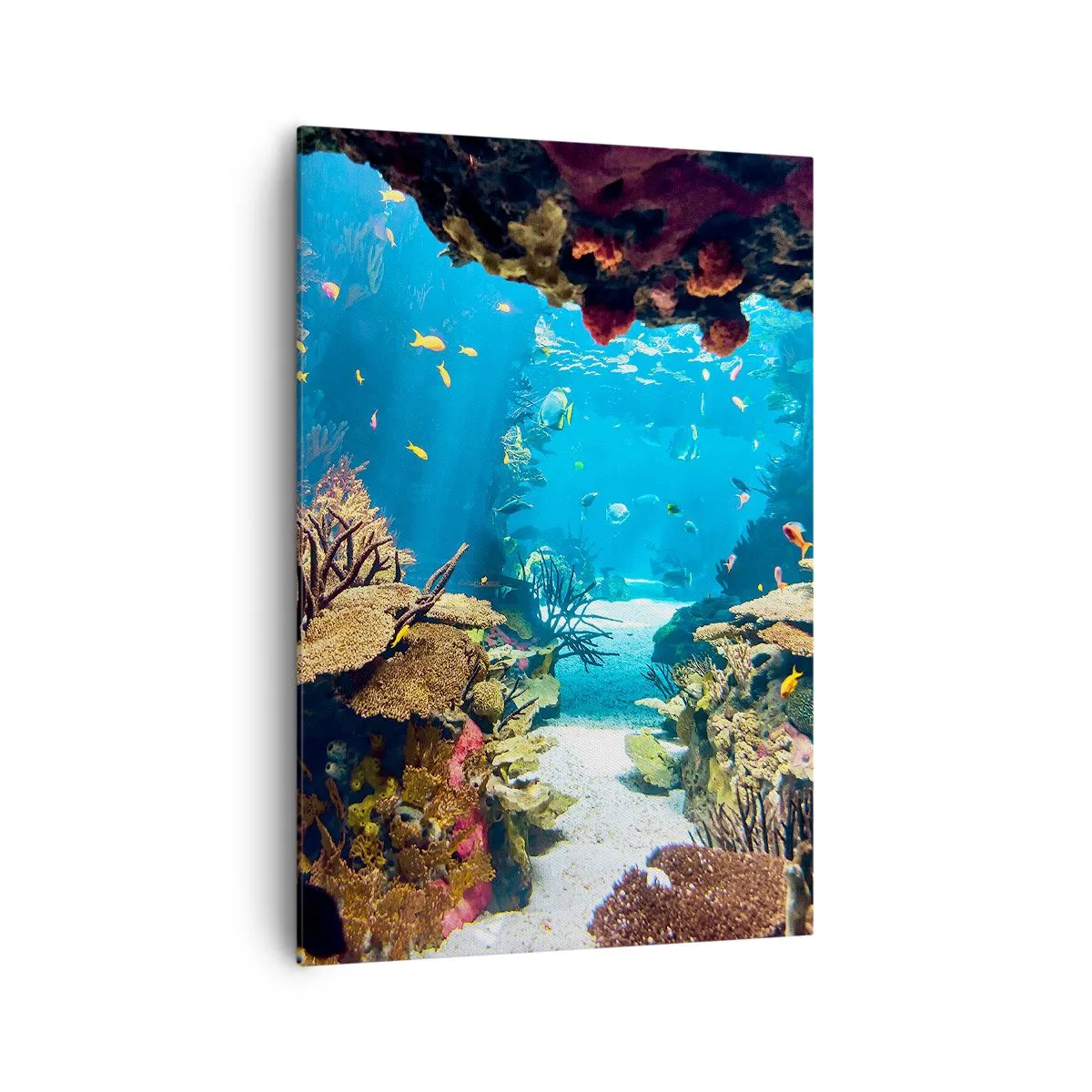 Canvastavla - Bild på duk - Du har inte ens drömt - 70x100 cm