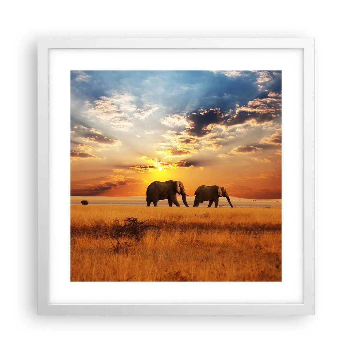 Affisch i vit ram - Familjepromenad - 40x40 cm