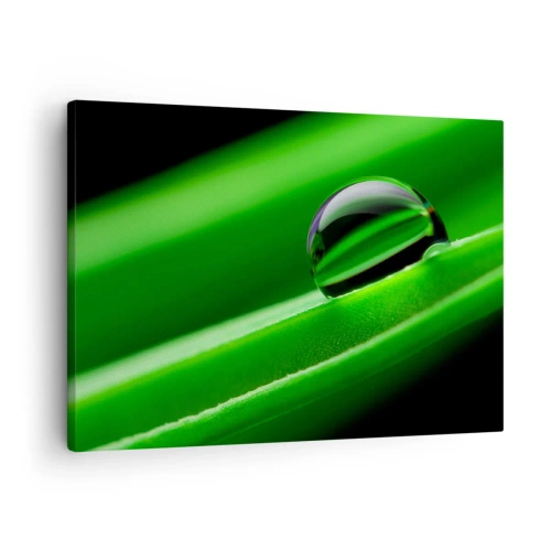 Canvastavla - Bild på duk - Närbild av en daggdroppe på ett grönt blad - 70x50cm - Livet på nära håll - Modern väggdekoration för vardagsrum och sovrum ARTTOR