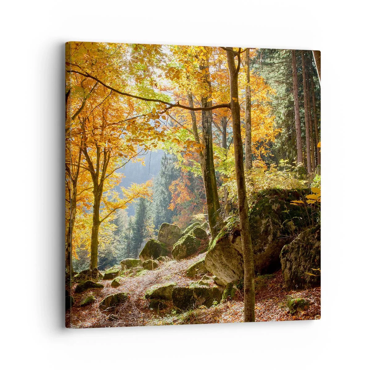 Canvastavla - Bild på duk - Dags att vila - 30x30 cm