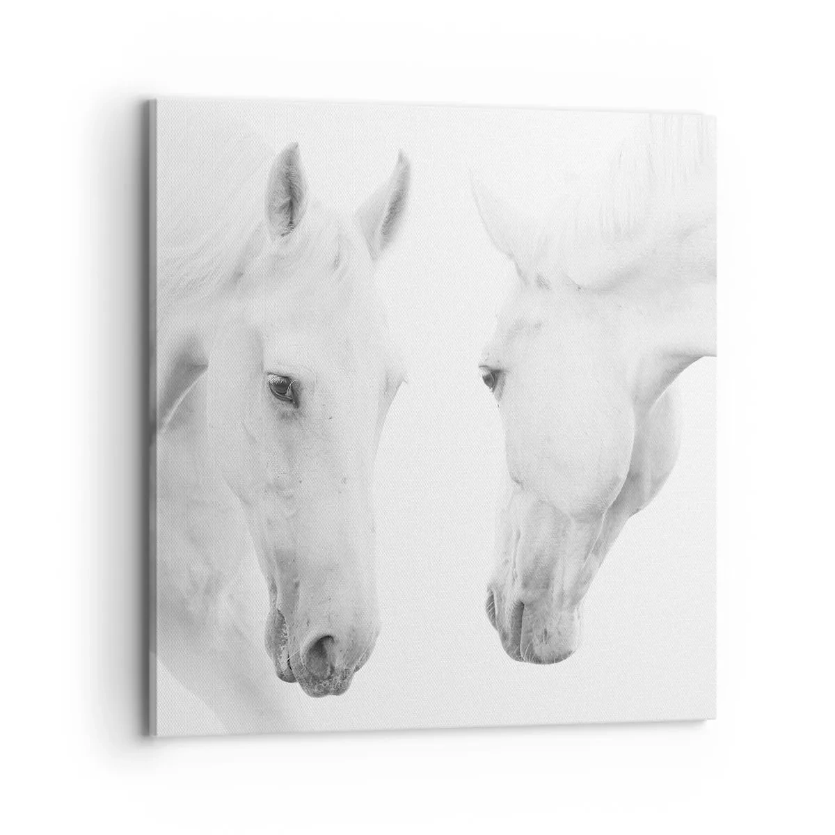 Canvastavla - Bild på duk - Är det vänskap…? - 70x70 cm