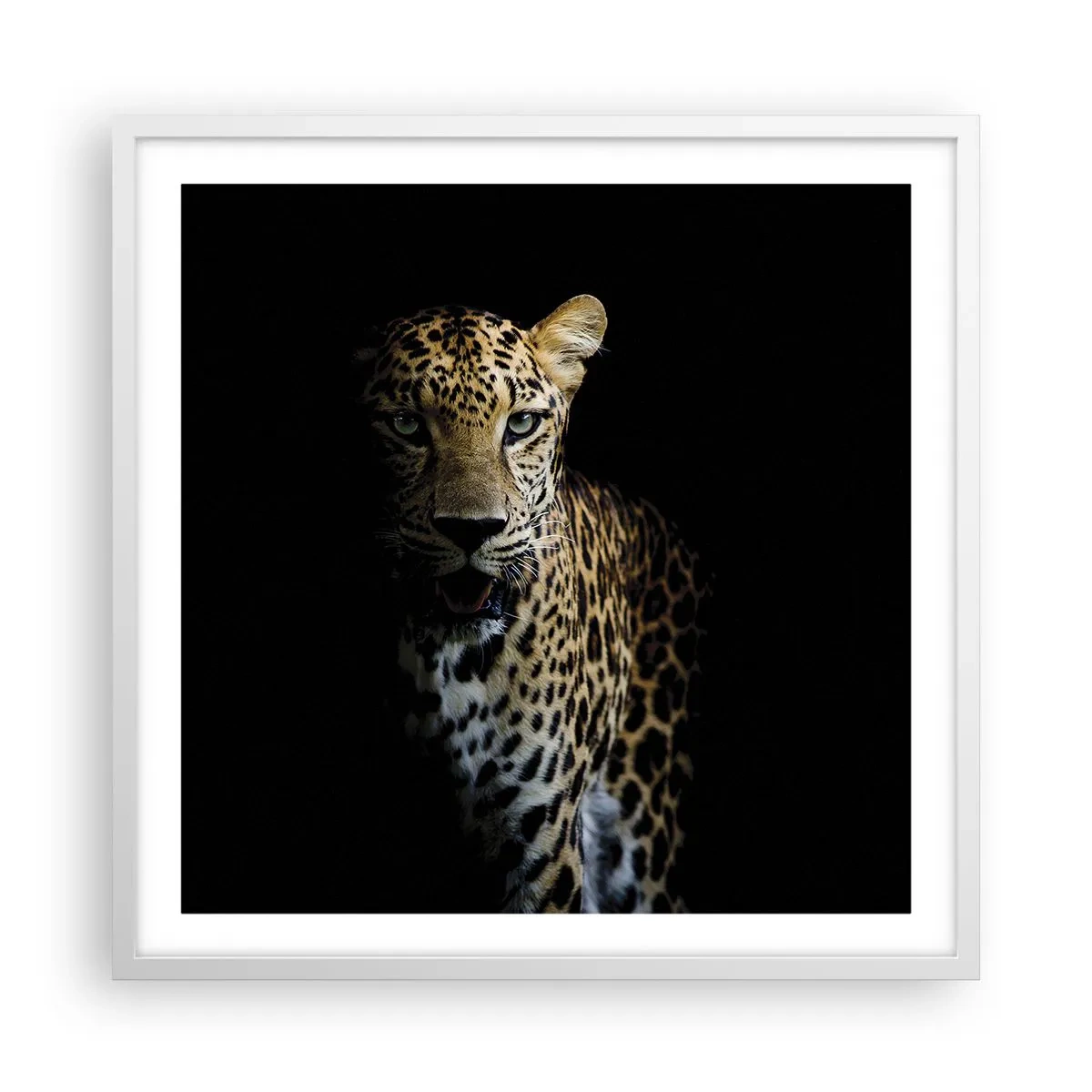 Affisch i vit ram - Mörk skönhet - 60x60 cm