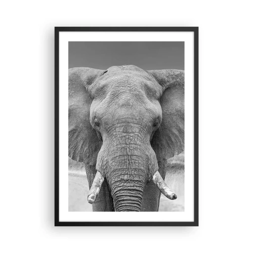 Affisch i svart ram - Elefant i svartvitt konstfotografi - 50x70cm - Välkommen till min värld - Modern väggdekoration för vardagsrum och sovrum ARTTOR