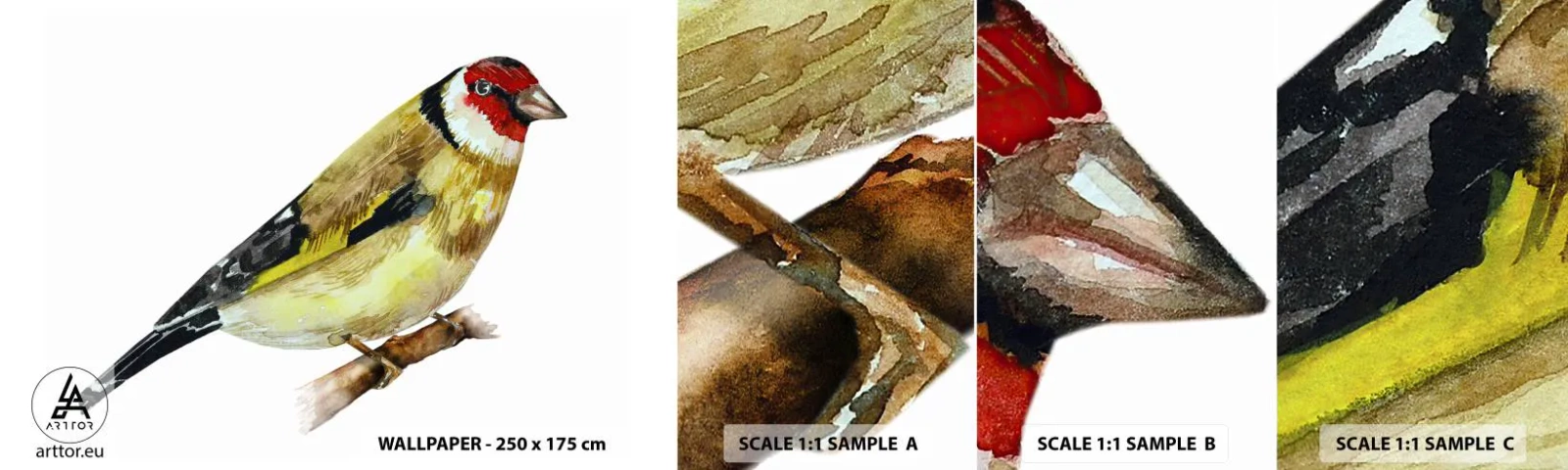 Provbit av självhäftande fototapet Deluxe Sticker - Fågelporträtt - Steglits, Fågel, Bit - 100x30 cm