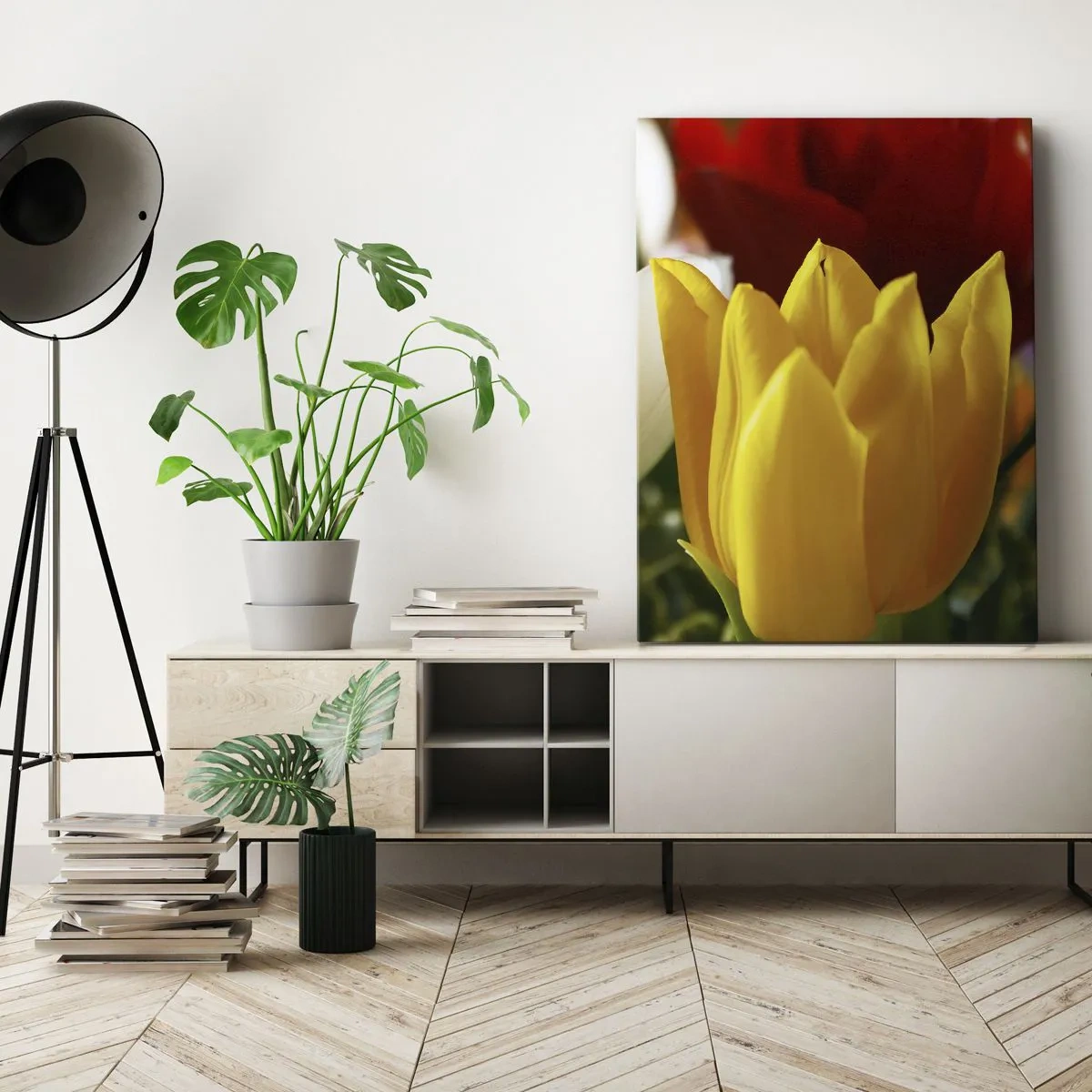 Canvastavla - Bild på duk - Tulpanfeber - 50x70 cm
