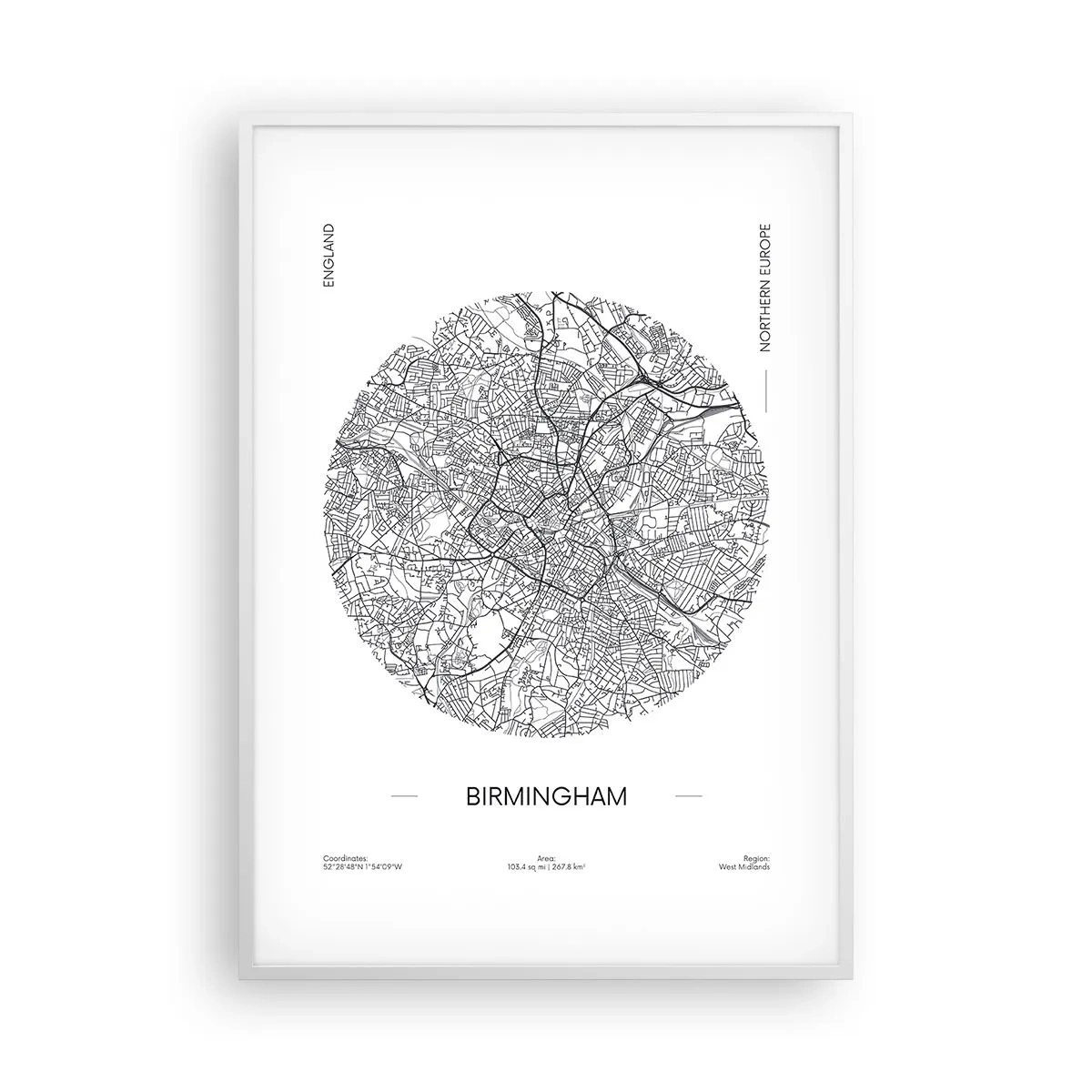 Affisch i vit ram - Birminghams anatomi - 70x100 cm