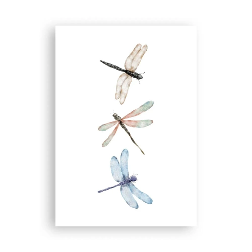 Affisch - Viktlösa trollsländor - 70x100 cm