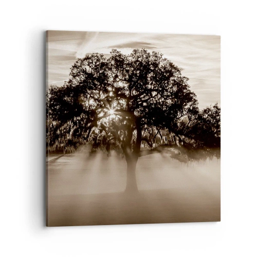 Canvastavla - Bild på duk - Trädet för kunskap om endast gott  - 70x70 cm