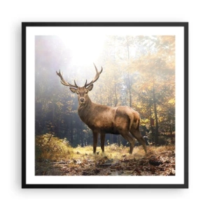 Affisch i svart ram - I fullt majestät - 60x60 cm