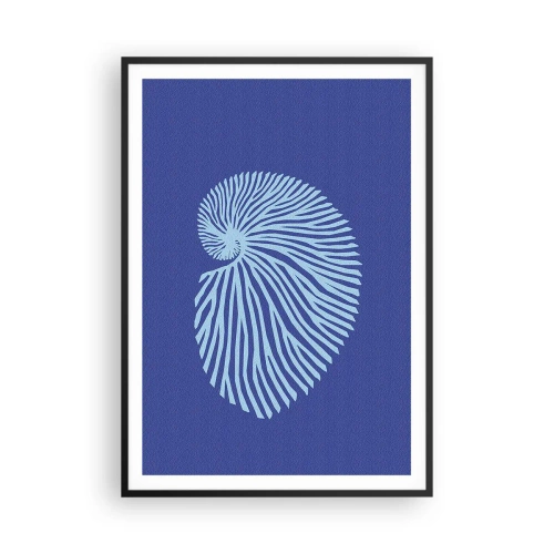 Affisch i svart ram - Födelse av ett skal - 70x100 cm