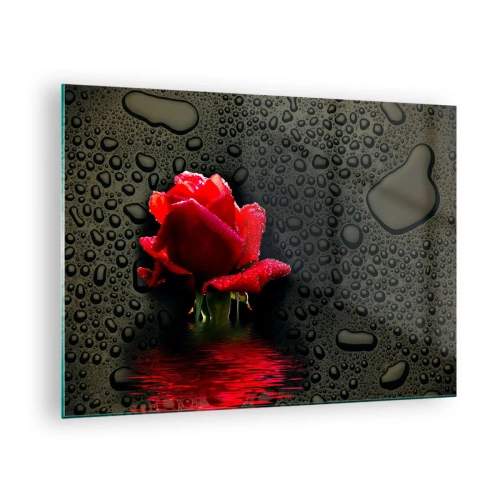 Glastavla - Bild på glas - Röd ros med vattendroppar på en mörk bakgrund - 70x50cm - Röd och svart - Modern väggdekoration för vardagsrum och sovrum ARTTOR