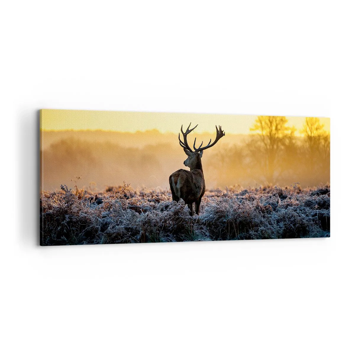 Canvastavla - Bild på duk - Krönt på sin mark - 100x40 cm