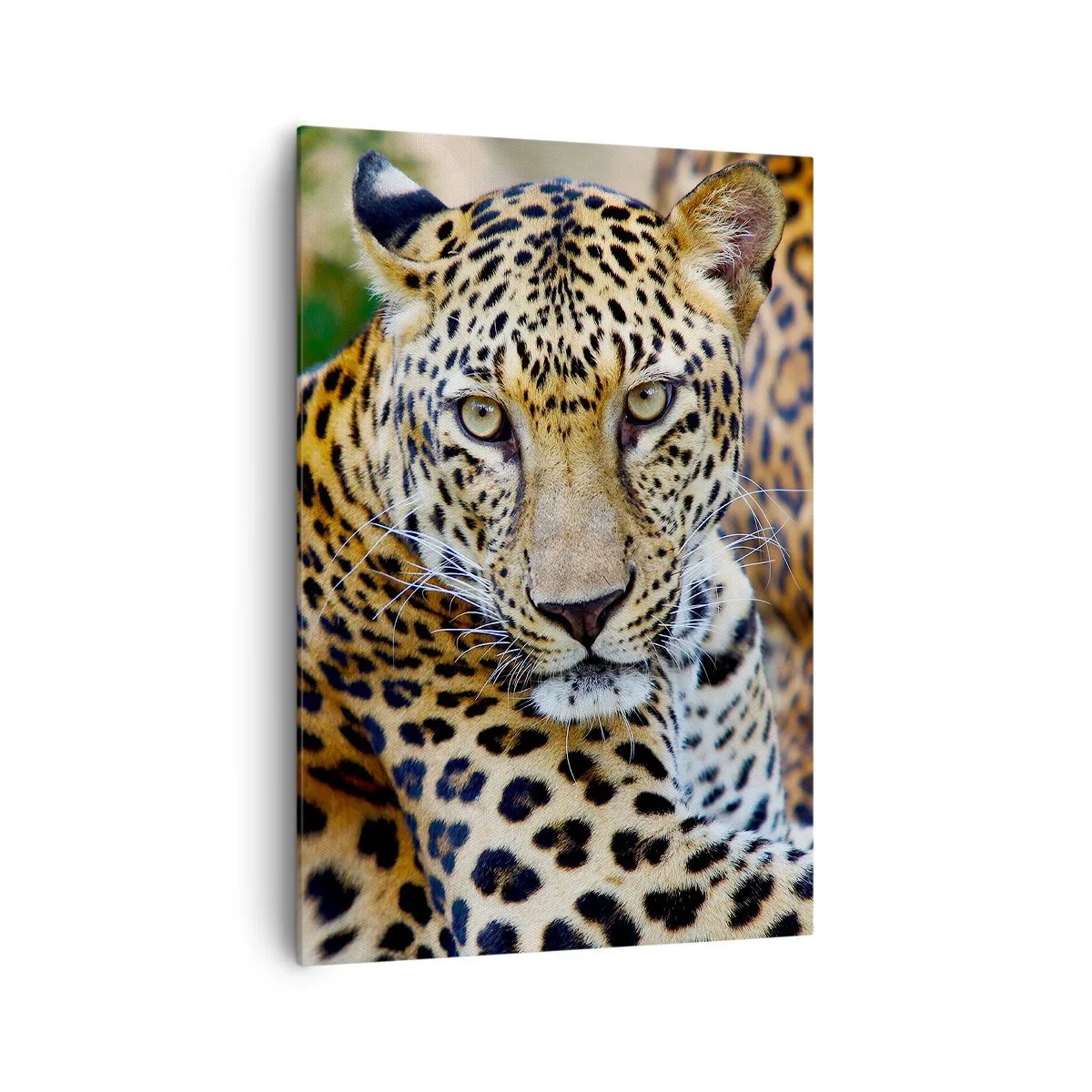 Canvastavla - Bild på duk - Vild och lugn - 70x100 cm