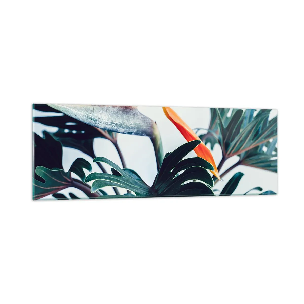 Glastavla - Bild på glas - Fågelbuske - 90x30 cm