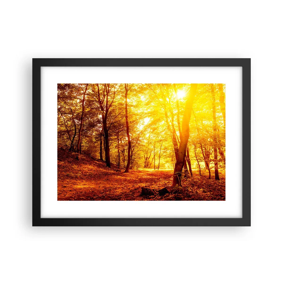 Affisch i svart ram - Mot guldgläntan - 40x30 cm