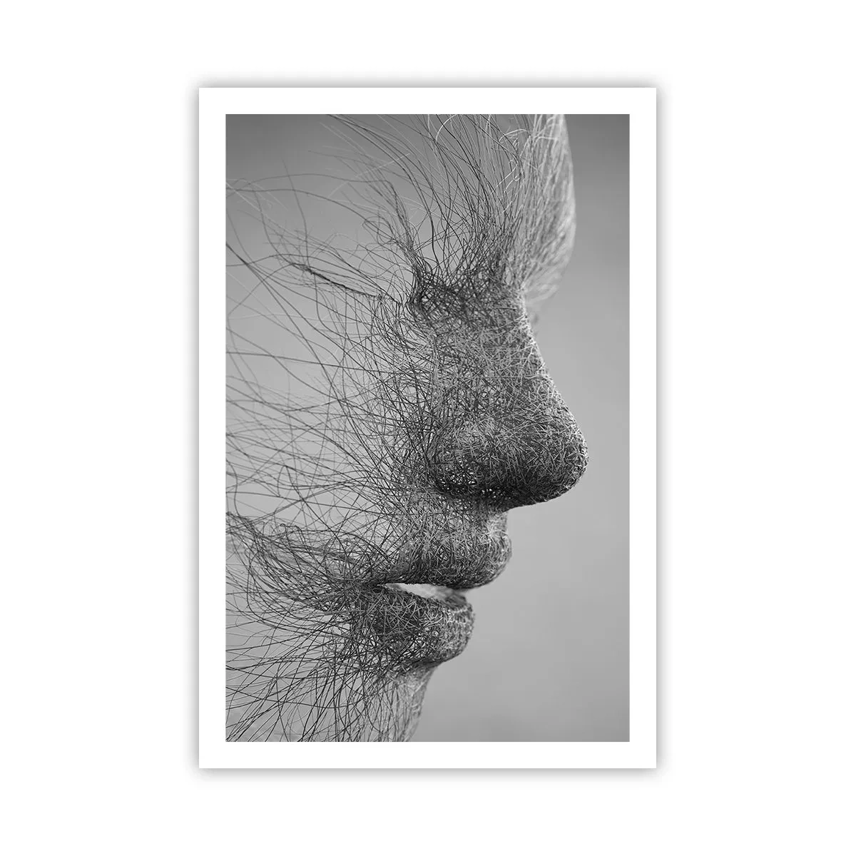 Affisch - Vindens ande - 61x91 cm