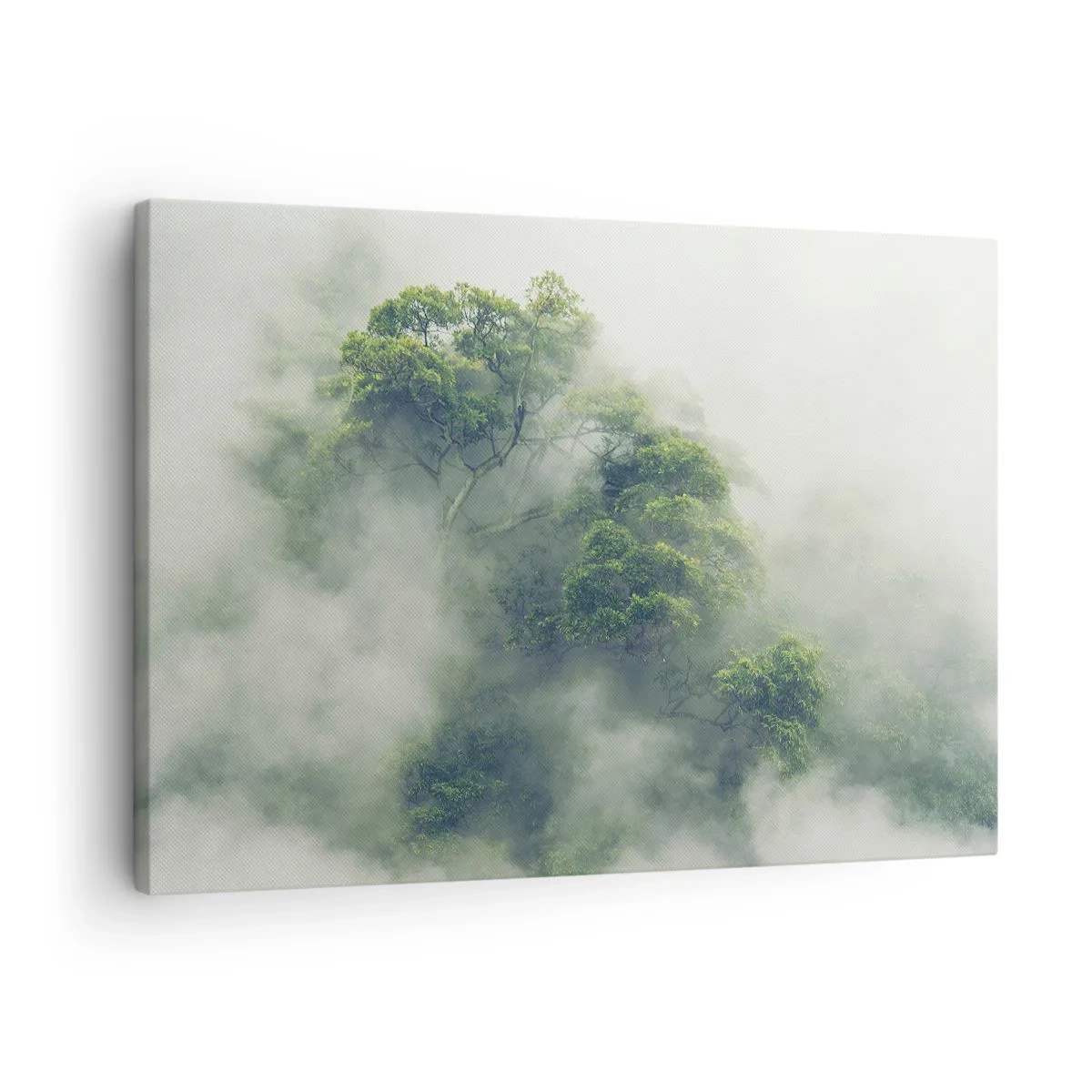 Canvastavla - Bild på duk - Gröna träd i tjock dimma mot en naturlig bakgrund - 70x50cm - Insvept i dimma - Modern väggdekoration för vardagsrum och sovrum ARTTOR