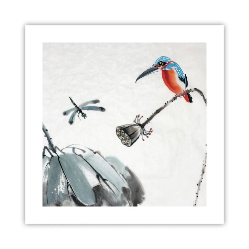 Affisch - Ängens liv - 40x40 cm