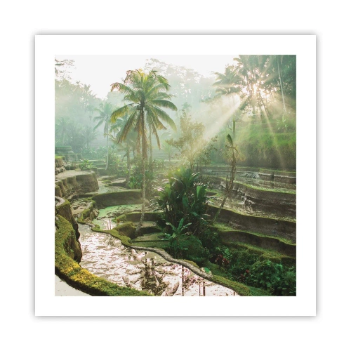 Affisch - Växa upp i solsken - 50x50 cm