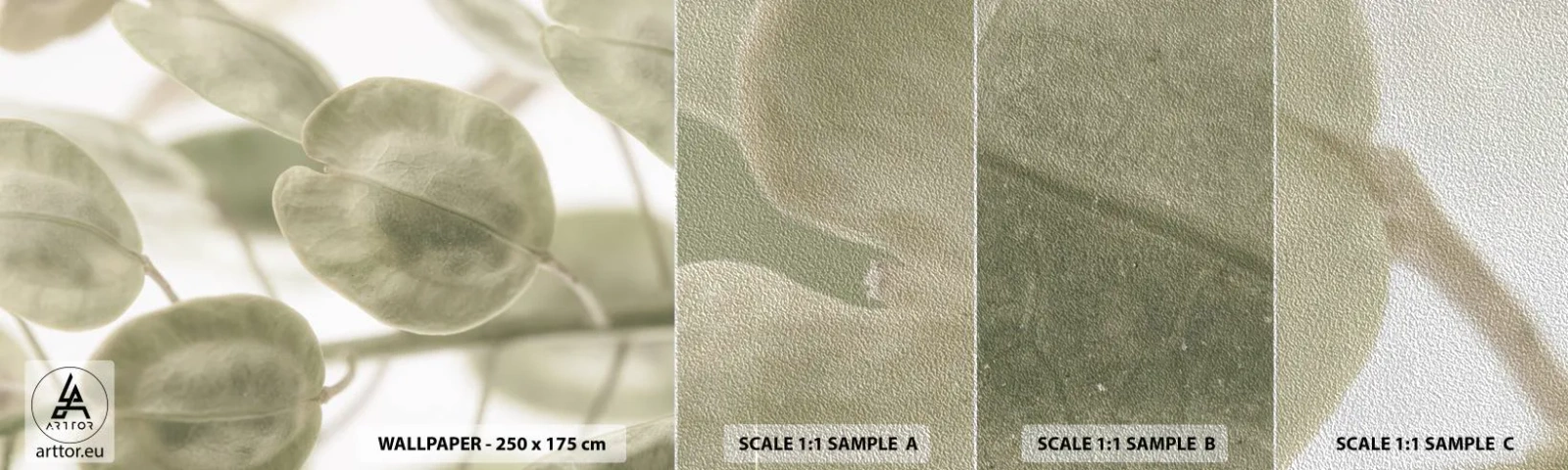 Provbit av fototapet Premium Sand - I början fanns det löv... - Blommor, Lugna, Löv - 100x30 cm