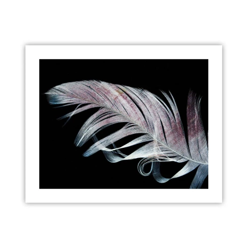 Affisch - Tänk på smekning - 50x40 cm