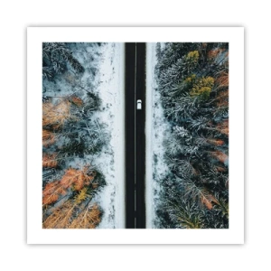 Affisch - Genom vinterskogen - 50x50 cm