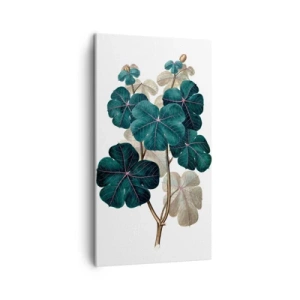 Canvastavla - Bild på duk - Från ett gammalt herbarium - 45x80 cm