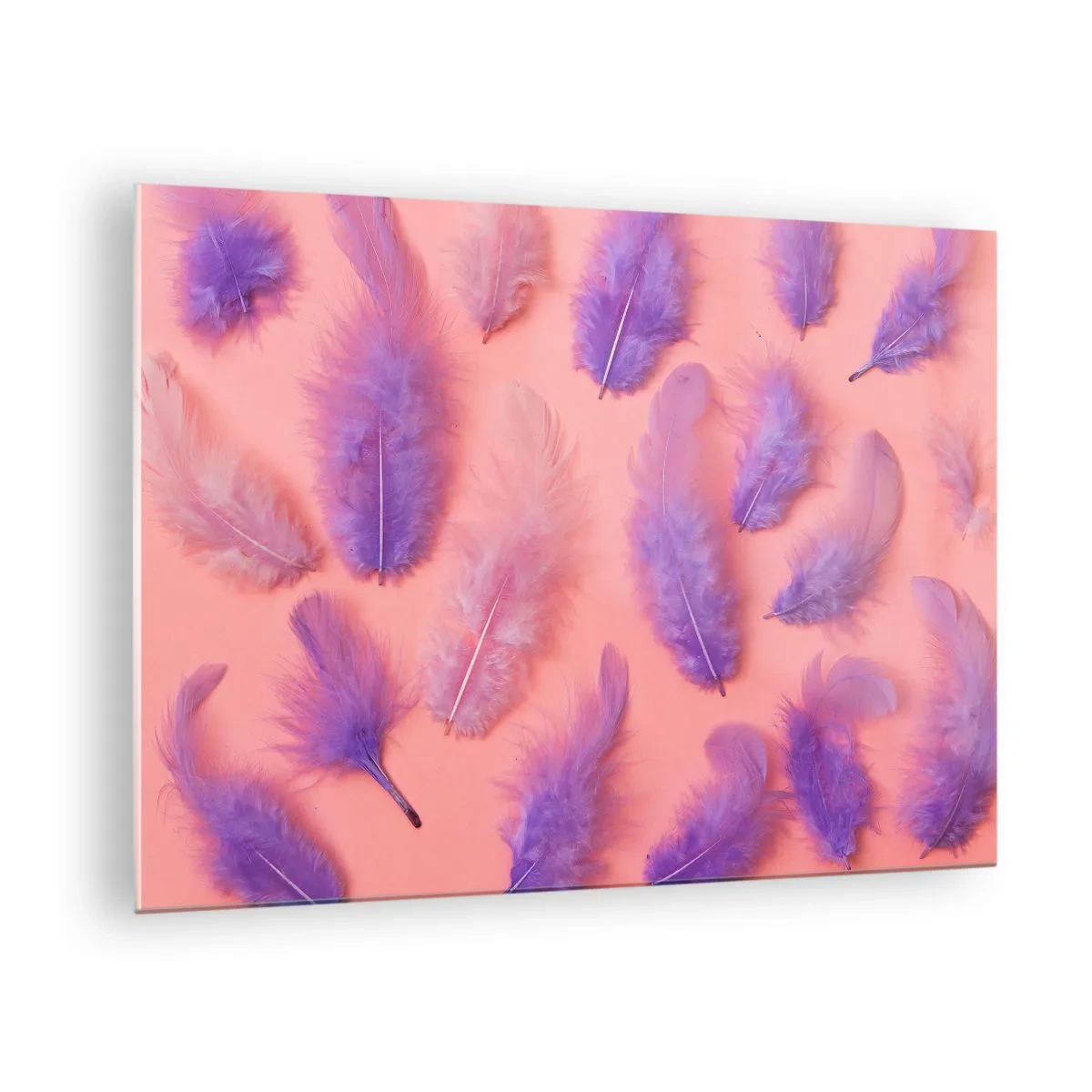 Glastavla - Bild på glas - Lila fjädrar på en rosa bakgrund i en delikat komposition - 70x50cm - Lusten liljefågel - Modern väggdekoration för vardagsrum och sovrum ARTTOR