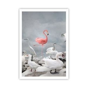 Affisch - Hur har jag hamnat här? - 70x100 cm