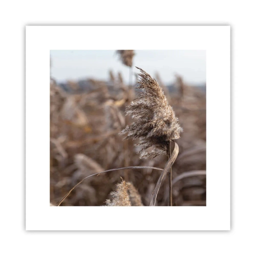 Affisch - Dags att flyga bort med vinden - 30x30 cm