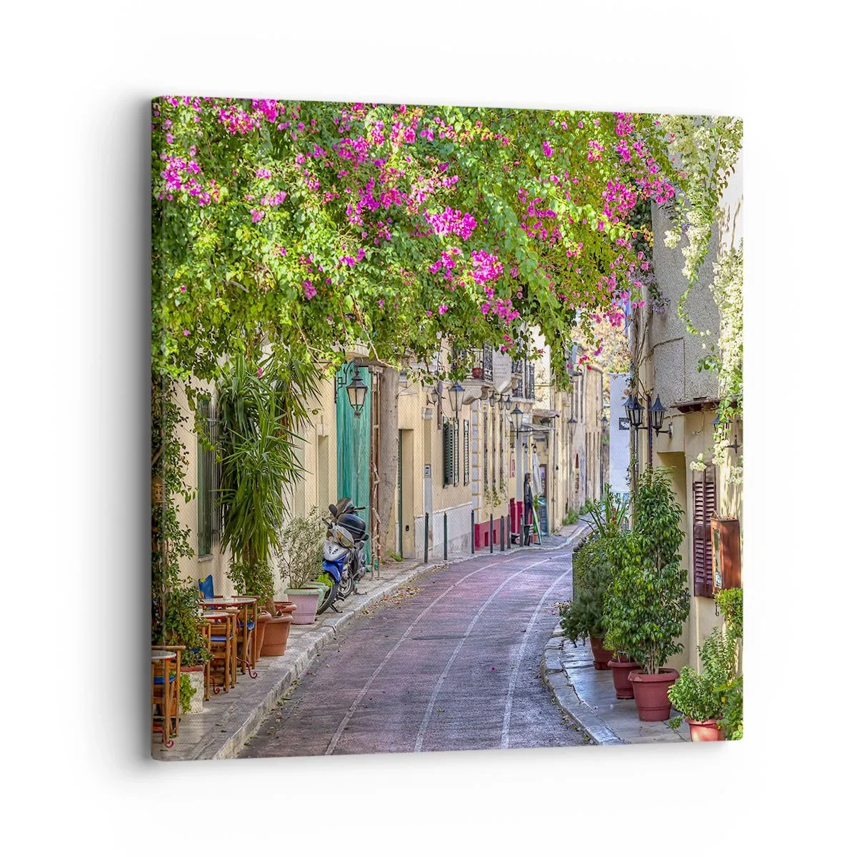 Canvastavla - Bild på duk - Blommande gata - 30x30 cm