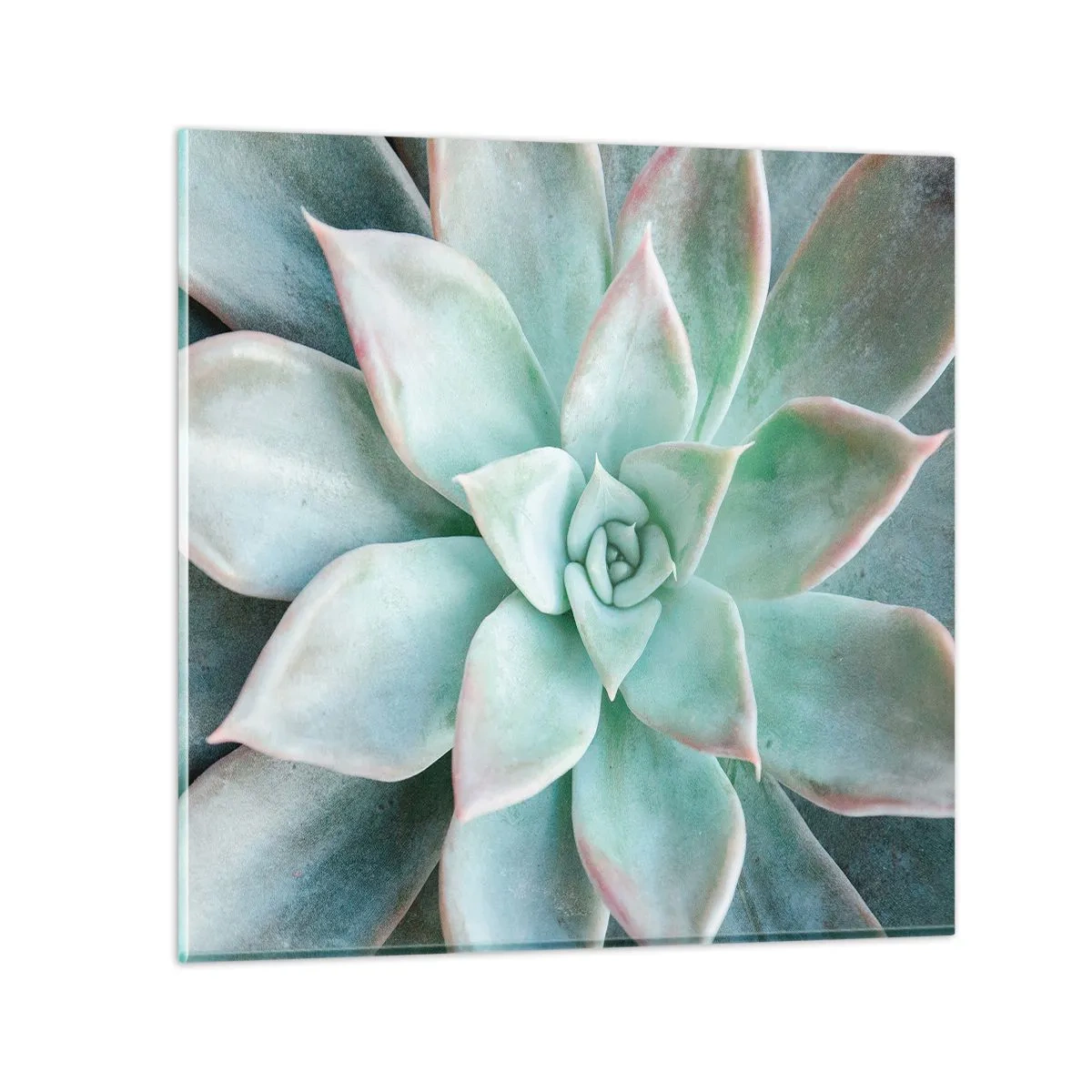 Glastavla - Bild på glas - Öknens hjärta - 60x60 cm