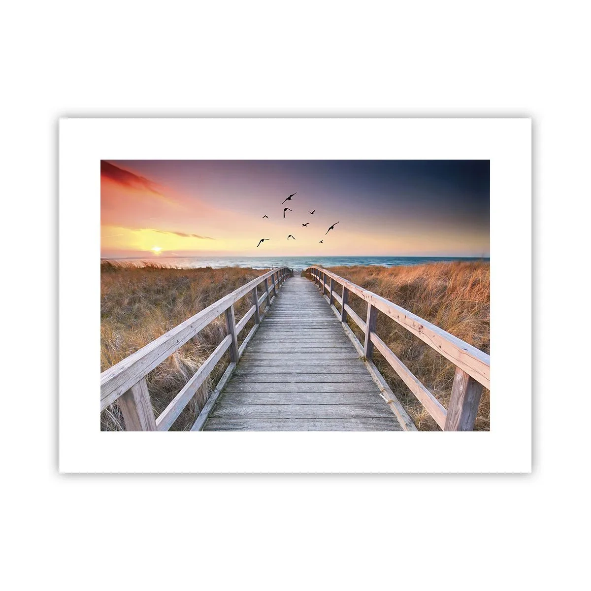 Affisch - Startbana - 40x30 cm