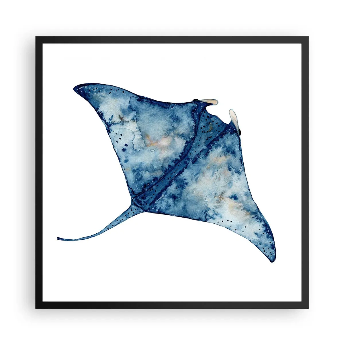 Affisch i svart ram - Liv i blått - 60x60 cm