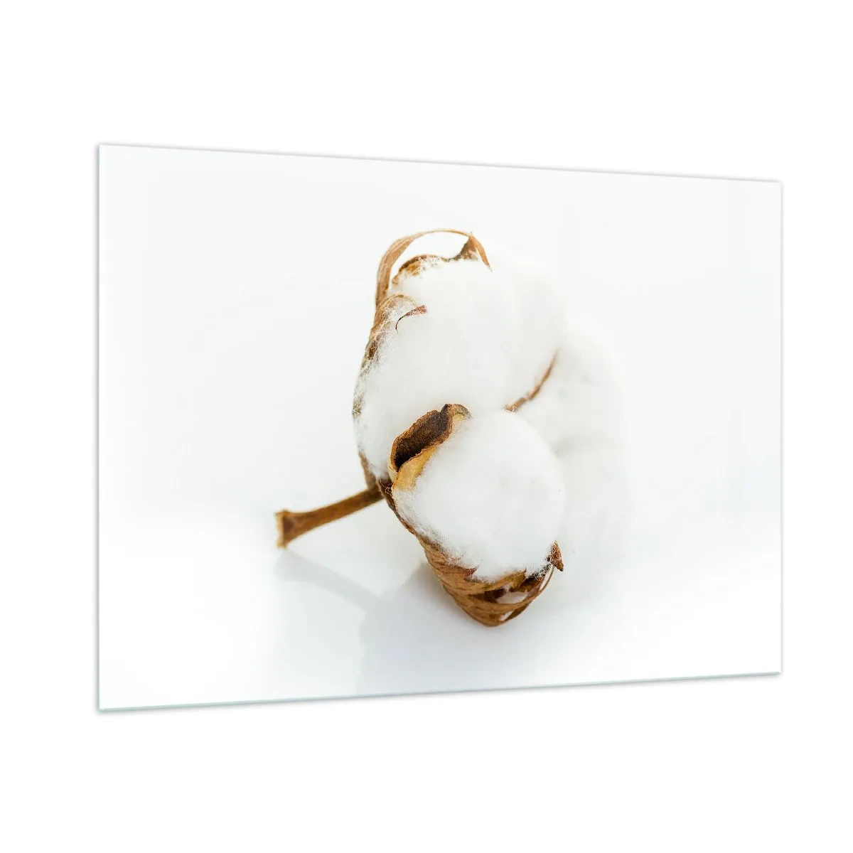 Glastavla - Bild på glas - Mjuk av naturen - 100x70 cm