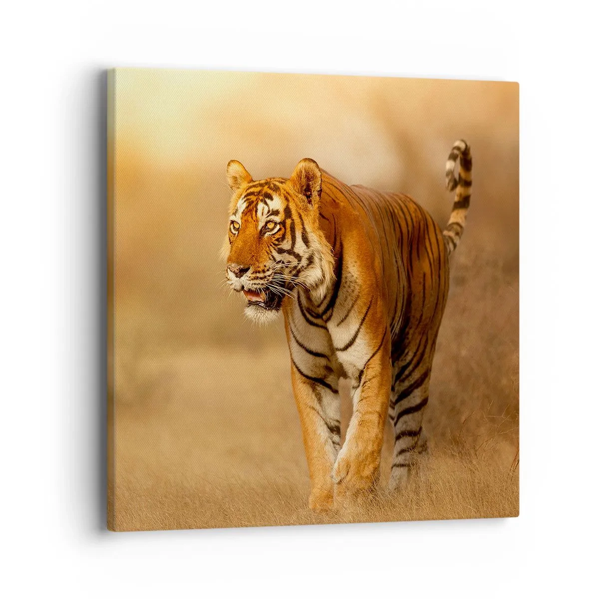 Canvastavla - Bild på duk - Före attack - 40x40 cm