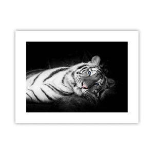 Affisch - Vildhet och lugn - 40x30 cm