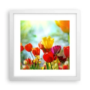 Affisch i vit ram - Solens alla färger - 30x30 cm